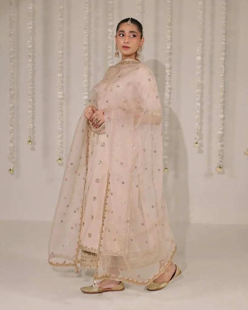 Stitched Embroidered 3-Pc Ensemble |Rosewood